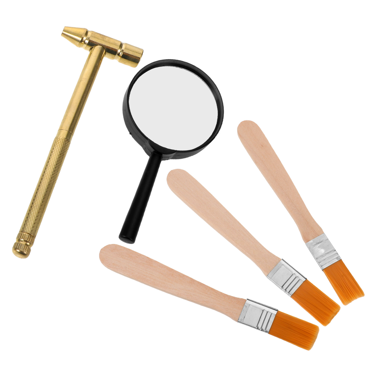 Kids Education Tools - 어린이 고고학 발굴 세트 1세트, 사실적인